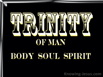 Trinity of Man - Man’s Nature and Destiny (2)